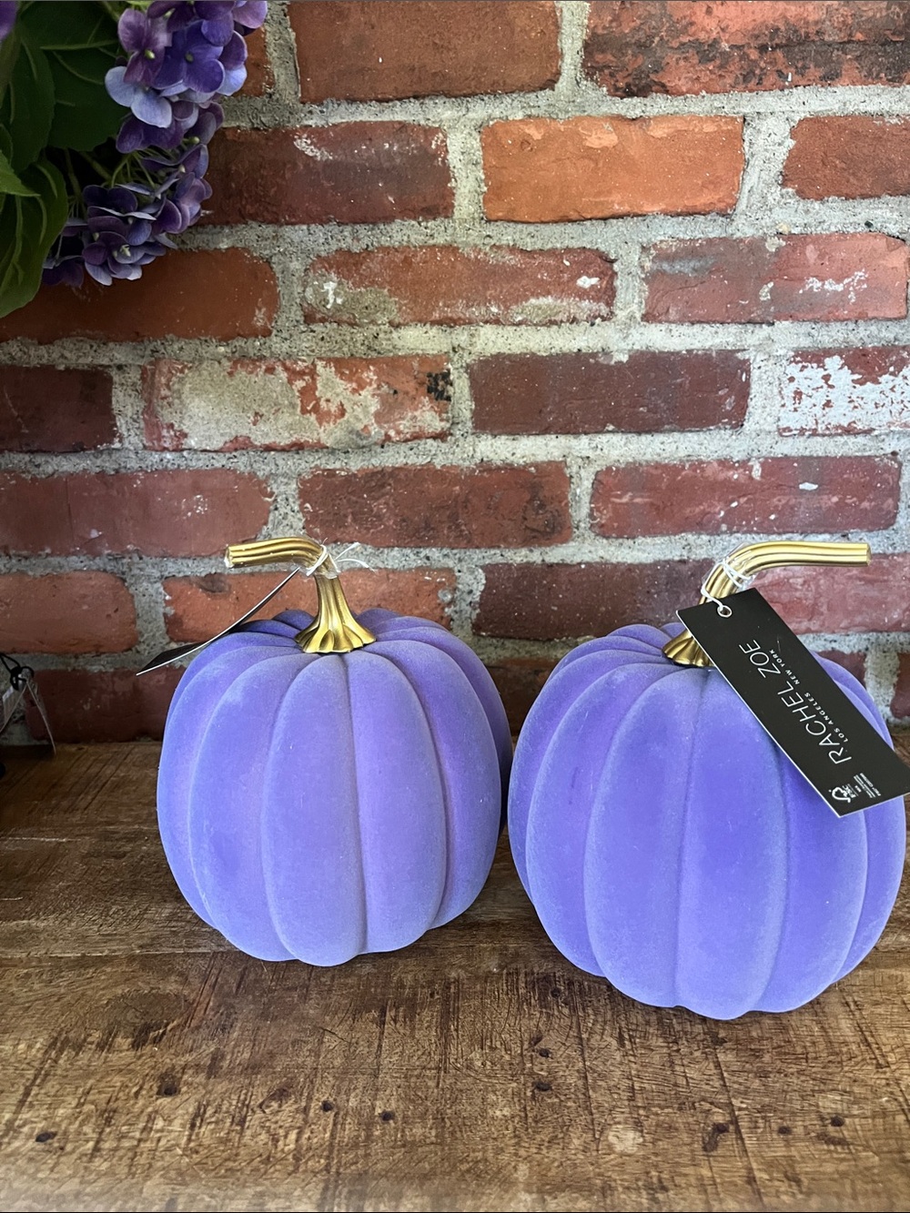 Rachel Zoe Lavender Velvet Pumpkins with Gold Stems